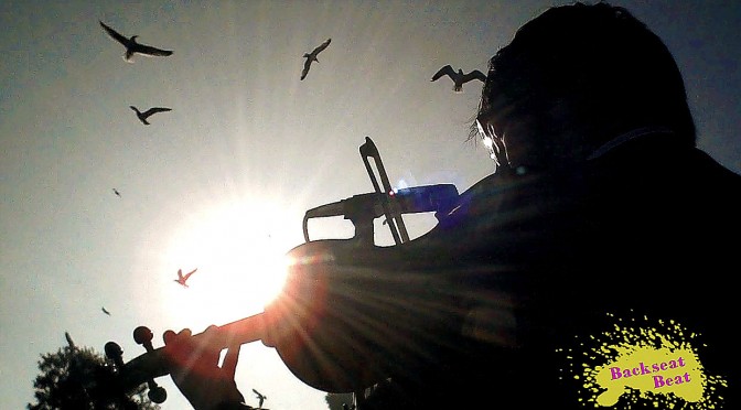 Jon of The Definite Articles, seagulls, and artful backlighting